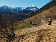 MONTE ARETE (2227 m.), sudato, ma comunque goduto, da Cambrembo di Valleve il 17 novembre 2012  - FOTOGALLERY